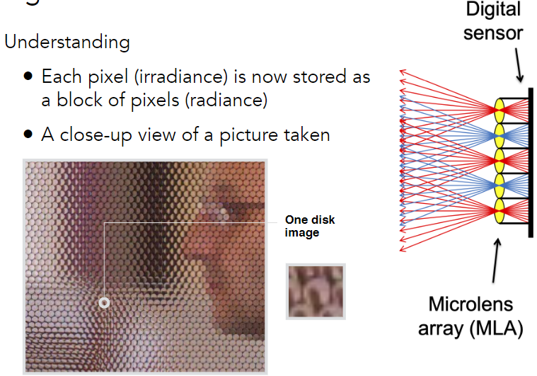 lightfieldcamera